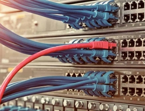 Networking Switches: How They Help Business Build a Robust Infrastructure